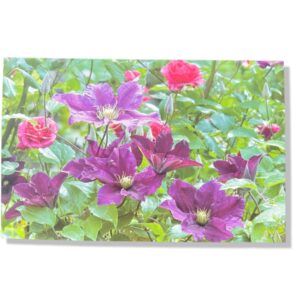 10 Wenskaarten Blanco Bloemen | 11x17cm | incl. Envelop | BL1.4.7