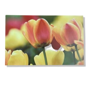 10 Wenskaarten Blanco Bloemen | 11x17cm | incl. Envelop | BL2.4.4