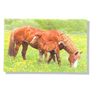 10 Wenskaarten dieren | 11x17cm | incl. Envelop | BL3.2.3