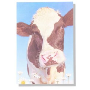 10 Wenskaarten blanco dieren | 11x17cm | incl. Envelop | BL4.5.3