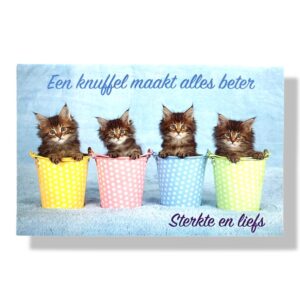 10 Wenskaarten Beterschap | 11x17cm | incl. Envelop | BS5.2.10