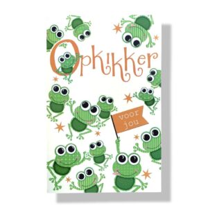 10 Wenskaarten Beterschap | 11x17cm | incl. Envelop | BS5.2.9