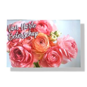 10 Wenskaarten Beterschap | 11x17cm | incl. Envelop | BS5.3.7