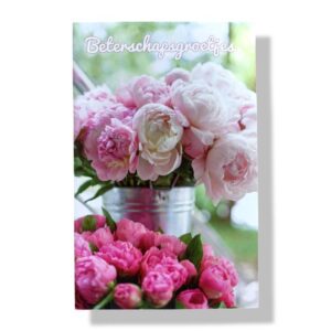 10 Wenskaarten Beterschap | 11x17cm | incl. Envelop | BS5.1.10
