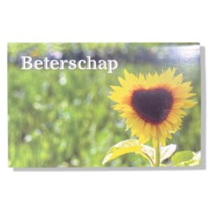 10 Wenskaarten Beterschap | 11x17cm | incl. Envelop | BS5.4.3