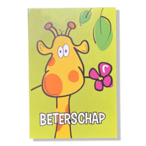 10 Wenskaarten | Beterschap | 11x17cm | incl. Envelop | BS5.5.7