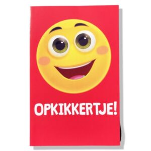 10 Wenskaarten | Beterschap | 11x17cm | incl. Envelop | BS6.1.7
