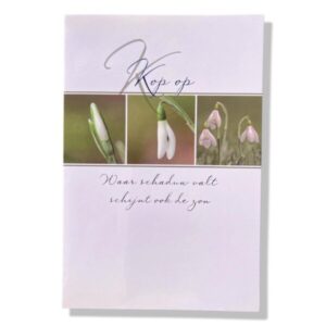 10 Wenskaarten | Beterschap | Sterkte | 11x17cm | incl. Envelop | BS6.1.8