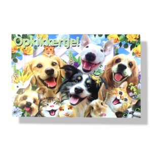 10 Wenskaarten | Beterschap | Dieren | 11x17cm | incl. Envelop | BS6.2.10