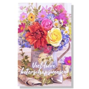 10 Wenskaarten | Beterschap | 11x17cm | incl. Envelop | BS6.2.7