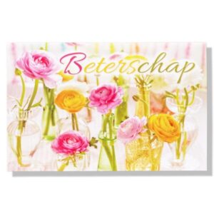 10 Wenskaarten | Beterschap | 11x17cm | incl. Envelop | BS6.2.8