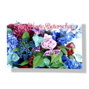 10 Wenskaarten | Beterschap | 11x17cm | incl. Envelop | BS6.2.9