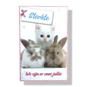 10 Wenskaarten | Beterschap | Sterkte | 11x17cm | incl. Envelop | BS6.3.2