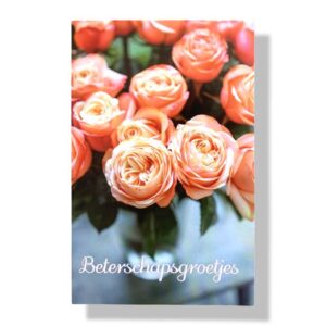 10 Wenskaarten | Beterschap | 11x17cm | incl. Envelop | BS6.4.2