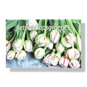 10 Wenskaarten | Beterschap | Bloemen | 11x17cm | incl. Envelop | BS6.4.8