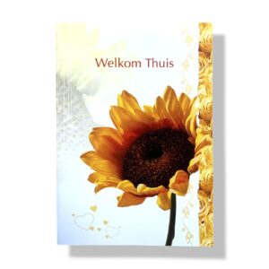 10 Wenskaarten | Beterschap | Welkom thuis | 11x17cm | incl. Envelop | BS6.5.10