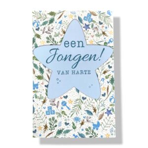 10 Wenskaarten | Geboorte | Zoon | 11x17cm | incl. Envelop | GEB11.1.8