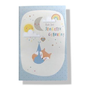 10 Wenskaarten | Geboorte | Zoon | 11x17cm | incl. Envelop | GEB11.1.9