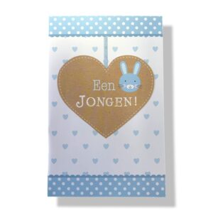 10 Wenskaarten | Geboorte | Zoon | 11x17cm | incl. Envelop | GEB11.2.2