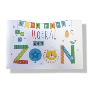 10 Wenskaarten | Geboorte | Zoon | 11x17cm | incl. Envelop | GEB11.2.4