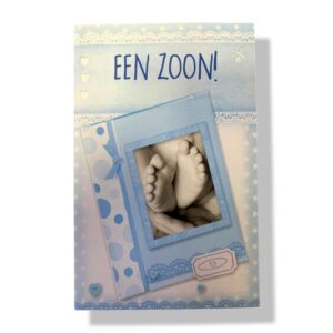 10 Wenskaarten | Geboorte | Zoon | 11x17cm | incl. Envelop | GEB11.2.9
