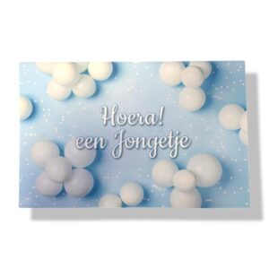 10 Wenskaarten | Geboorte | Zoon | 11x17cm | incl. Envelop | GEB11.3.2