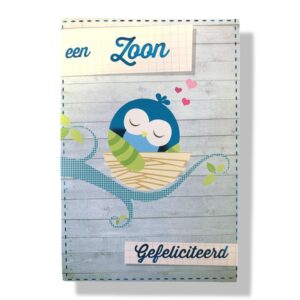 10 Wenskaarten | Geboorte | Zoon | 11x17cm | incl. Envelop | GEB11.3.6