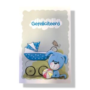 10 Wenskaarten | Geboorte | Zoon | 11x17cm | incl. Envelop | GEB11.3.9