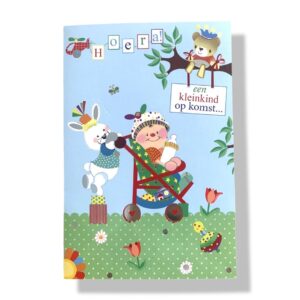 10 Wenskaarten | Geboorte Kleinkind | 11x17cm | incl. Envelop | GEB11.4.6
