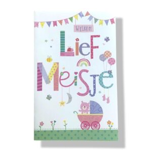 10 Wenskaarten | Geboorte | Dochter | 11x17cm | incl. Envelop | GEB12.1.1