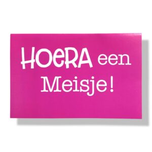 10 Wenskaarten | Geboorte | Dochter | 11x17cm | incl. Envelop | GEB12.3.2