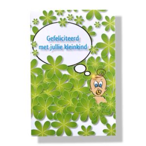 10 Wenskaarten | Geboorte | Kleinkind | 11x17cm | incl. Envelop | GEB12.4.9