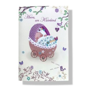 10 Wenskaarten | Geboorte | Kleinkind | 11x17cm | incl. Envelop | GEB12.5.2