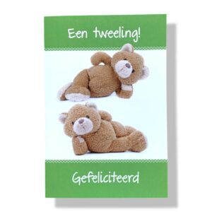 10 Wenskaarten | Geboorte | Tweeling | 11x17cm | incl. Envelop | GEB12.5.7