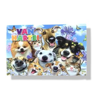 10 Wenskaarten | Hartelijk gefeliciteerd | 11x17cm | incl. Envelop | HG13.1.10