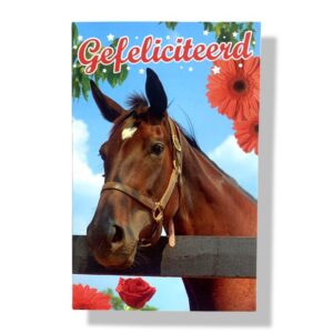 10 Wenskaarten | Hartelijk gefeliciteerd | 11x17cm | incl. Envelop | HG13.1.2
