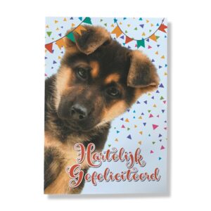 10 Wenskaarten | Hartelijk gefeliciteerd | 11x17cm | incl. Envelop | HG13.1.4