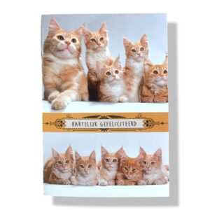 10 Wenskaarten | Hartelijk gefeliciteerd | 11x17cm | incl. Envelop | HG13.1.5
