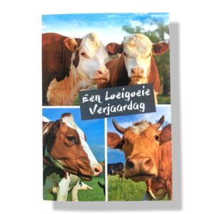 10 Wenskaarten | Hartelijk gefeliciteerd | 11x17cm | incl. Envelop | HG13.2.6