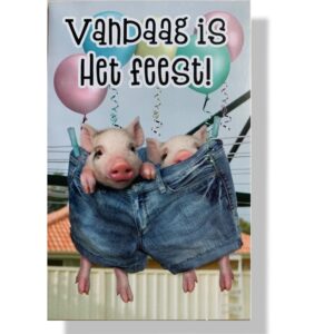 10 Wenskaarten | Hartelijk gefeliciteerd | 11x17cm | incl. Envelop | HG13.4.7