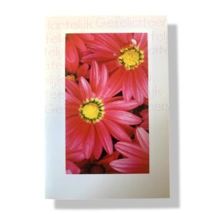 10 Wenskaarten | Hartelijk gefeliciteerd | 11x17cm | incl. Envelop | HG14.4.10