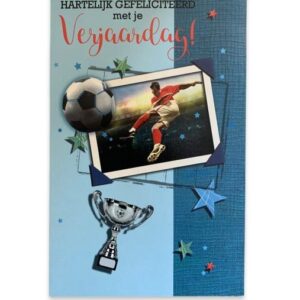 10 Wenskaarten | Hartelijk gefeliciteerd | 11x17cm | incl. Envelop | HG15.1.6