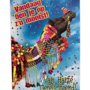10 Wenskaarten | Hartelijk gefeliciteerd | 11x17cm | incl. Envelop | HG15.1.8