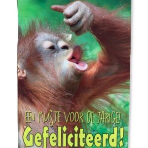 10 Wenskaarten | Hartelijk gefeliciteerd | 11x17cm | incl. Envelop | HG15.2.2