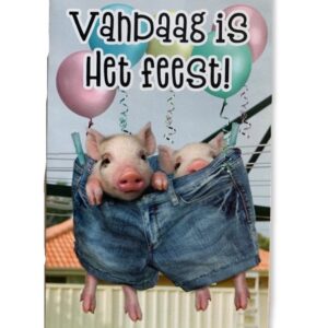 10 Wenskaarten | Hartelijk gefeliciteerd | 11x17cm | incl. Envelop | HG15.3.1