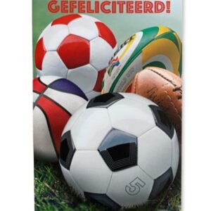 10 Wenskaarten | Hartelijk gefeliciteerd | 11x17cm | incl. Envelop | HG15.3.6