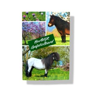 10 Wenskaarten | Hartelijk gefeliciteerd | Dieren | 11x17cm | incl. Envelop | HG15.4.10