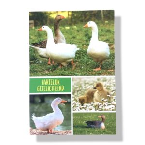 10 Wenskaarten | Hartelijk gefeliciteerd | Dieren | 11x17cm | incl. Envelop | HG15.4.3