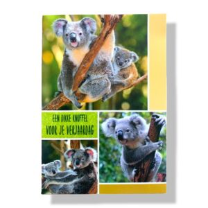 10 Wenskaarten | Hartelijk gefeliciteerd | Dieren | 11x17cm | incl. Envelop | HG15.4.5