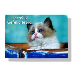 10 Wenskaarten | Hartelijk gefeliciteerd | Dieren | 11x17cm | incl. Envelop | HG15.4.6